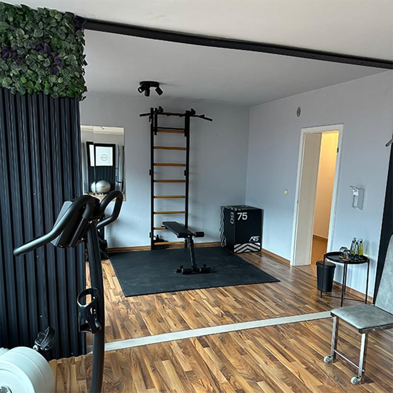 BenchK Wall Bars 733 for Home Gym Black On A Home Gym Room