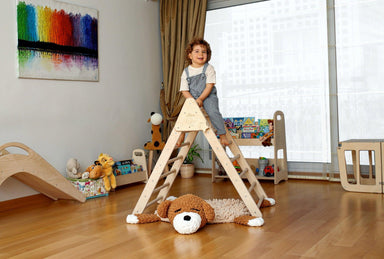 climbing triangle with boy on top