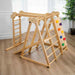 Chestnut 8-in-1 Indoor Jungle Gym in a playroom
