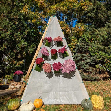Bijou Bloom Hanging Planters on the side of a bijou