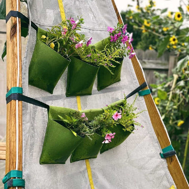 BIjou Bloom Hanging planters on a bijou 