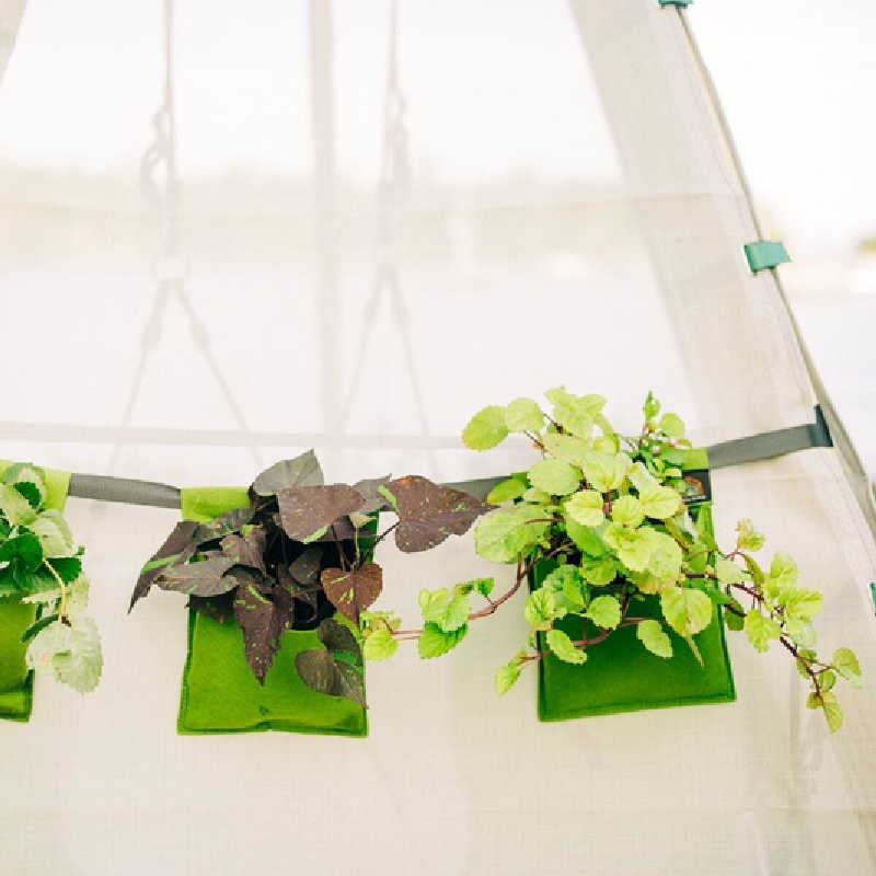 Bijou BLoom Hanging planters on the bijou