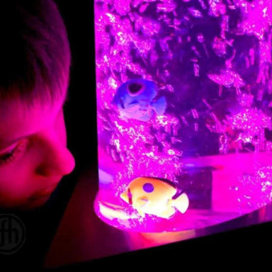 calming bubble tube up close with fish