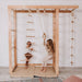 Indoor Monkey Bars Natural Wood Rope