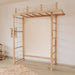 Indoor Monkey Bars Swedish Ladder Bridge Side View