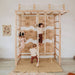 Indoor Monkey Bars Swedish Ladder Bridge With Climbing Wall Front View