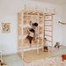 Indoor Monkey Bars Swedish Ladder Bridge With Climbing Wall Full View