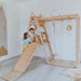 Kid Climbing Structure Elevated Platform Slide With Kids