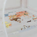 Mini World Map Inside Bounce House floor