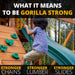 OUTING SWING SET Gorilla Strong