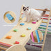 Tiny Land climbing set up close with cat