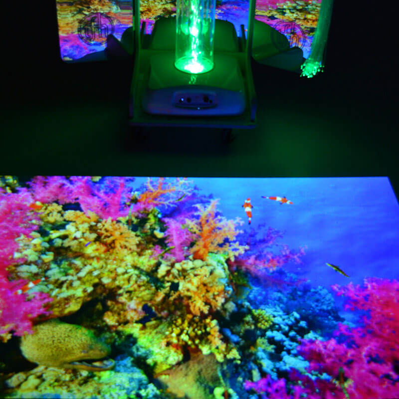 Vecta Budii Mobile Sensory Stations - Water Tube  - 9vctbd Coral Colors