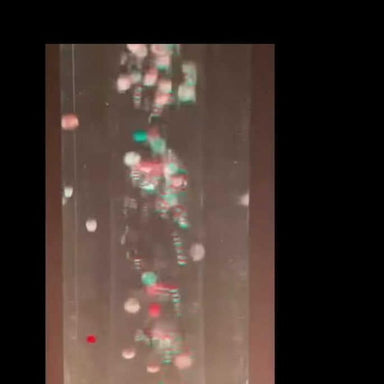 Balls and Beads Inserts for Bubble Tubes illuminated with pastel colors