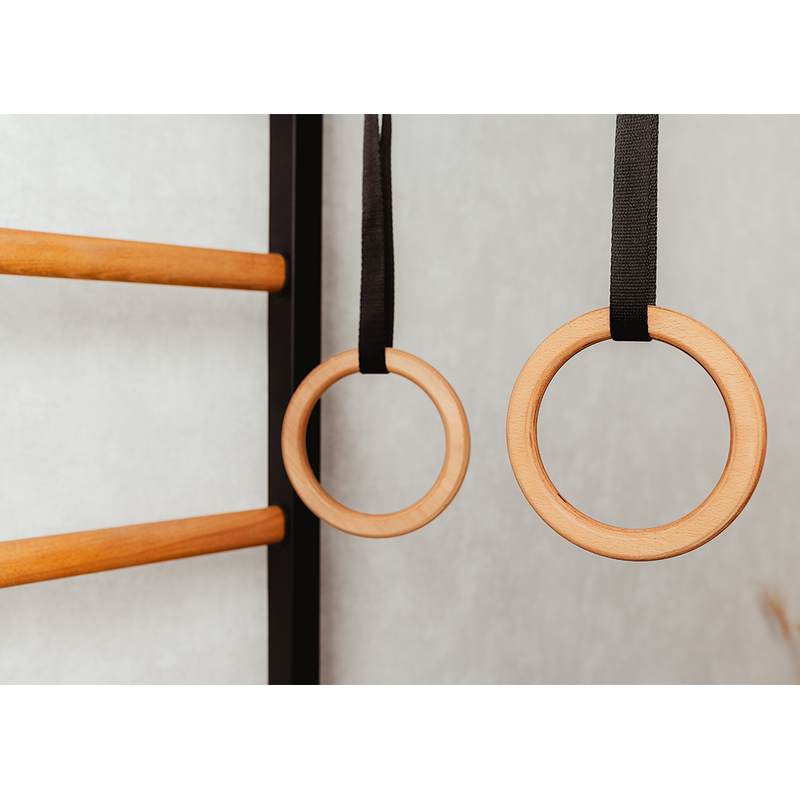 BenchK Gymnastics Accessories A204/A076 – A076 gymnastics rings hanging on a compatible black wall-bar frame sold separately
