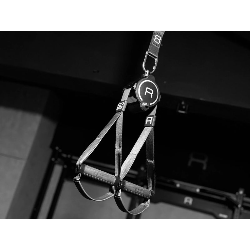 BenchK Recoil S2 Home – suspension trainer hanging from an anchor in a training space