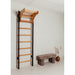BenchK Wall Bars 211 – black wall bars with pull-up bar installed in a room