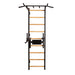 BenchK Wall Bars 722 – black wall bars with fixed pull-up bar and dip station isolated on white