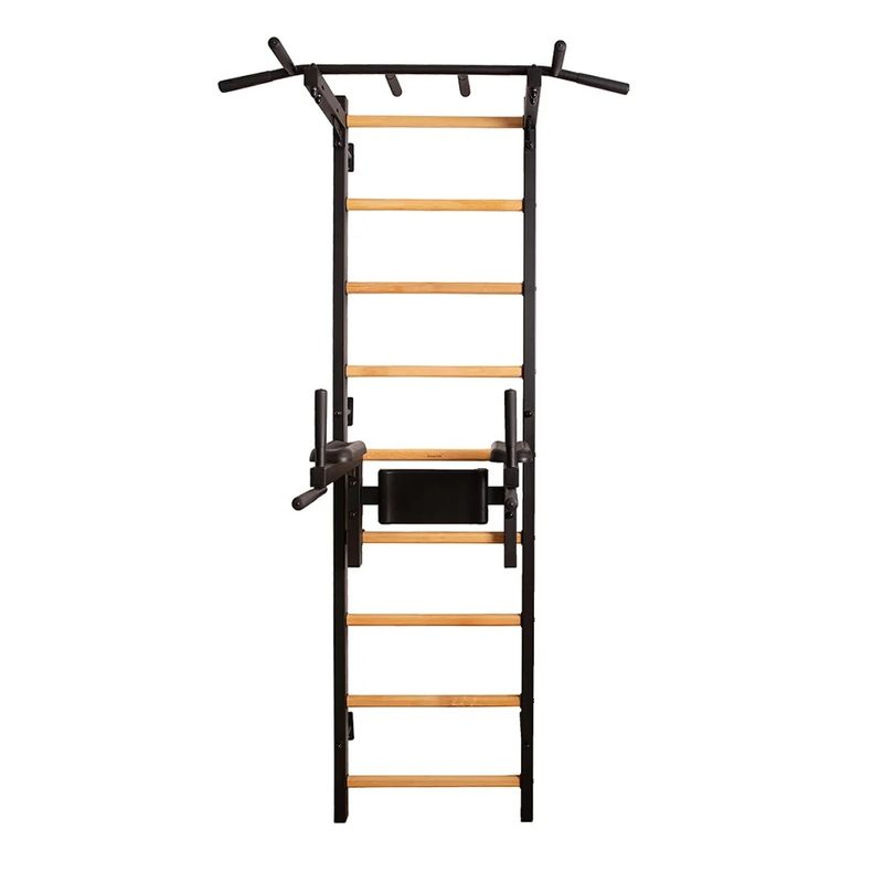 BenchK Wall Bars 722 – black wall bars with fixed pull-up bar and dip station isolated on white