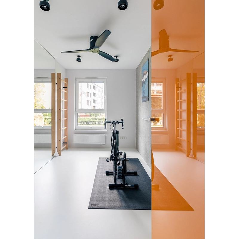 BenchK Wooden Wall Bars 100 – light beech wall bars in a training room