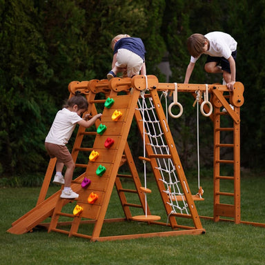 chestnut_outdoor_and_indoor_8_in_1_jungle_gym_for_toddlers_kids_playing_out_door