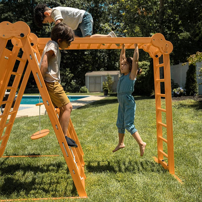 chestnut_outdoor_and_indoor_8_in_1_jungle_gym_for_toddlers_playset_gids_monkey_bar