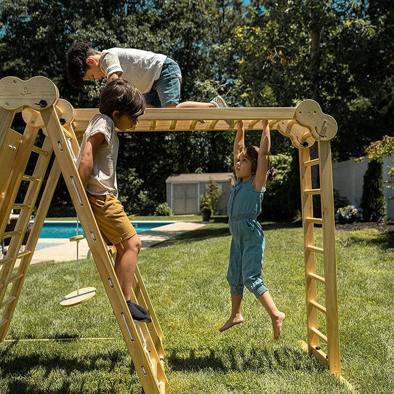 chestnut_outdoor_and_indoor_8_in_1_jungle_gym_for_toddlers_playset_monkey_bar