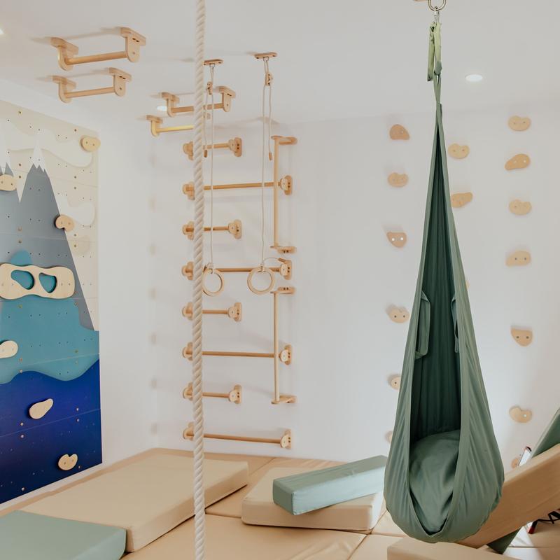 Children's Home Gym – Alaska wall with rope ladder and optional pod swing