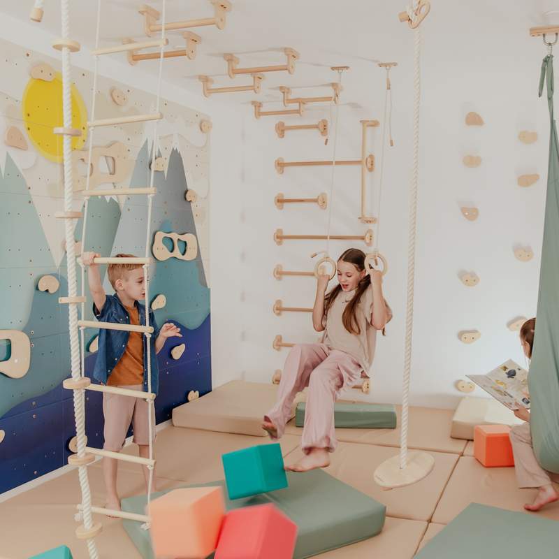 Children's Home Gym – kids using rings and rope ladder