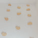 Climbing Holds – assorted wooden holds mounted on a white wall