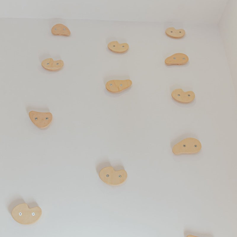 Climbing Holds – assorted wooden holds mounted on a white wall