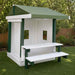 White and Green Congo Playhouse in a backyard