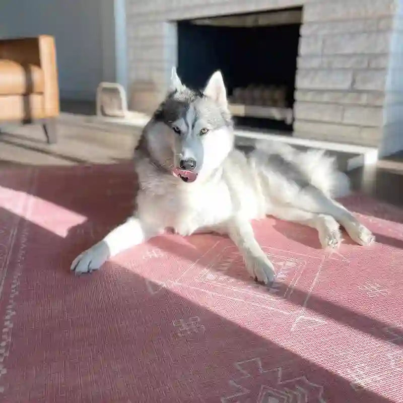 Dakota Rose Shwally Playmat in a family room with a dog