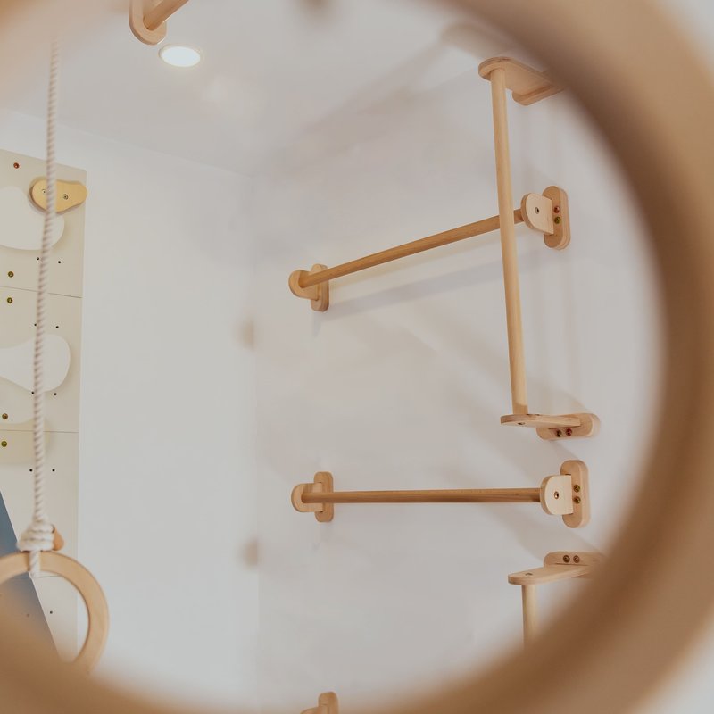 Home Monkey Bars – wall-mounted long bars reflected in a mirror