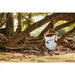 Domingo Sea Salt - Weather-Resistant Comfort Hammock Chair – empty chair beneath coastal trees