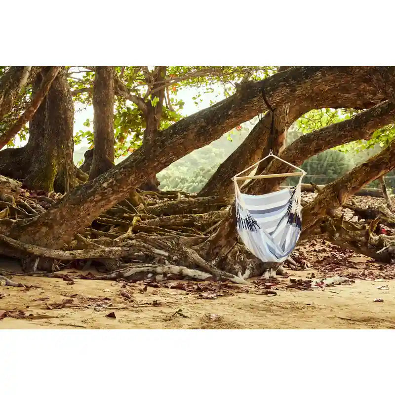 Domingo Sea Salt - Weather-Resistant Comfort Hammock Chair – empty chair beneath coastal trees