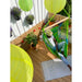 Domingo Lime - Weather-Resistant Comfort Hammock Chair – person seated on a decorated balcony