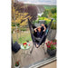 Fiji Organic Onyx – Organic Cotton Comfort Size Hammock Chair with Galvanized Steel Stand – person resting on a balcony