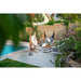 Udine Organic Latte - Organic Cotton Hammock Chair with FSC® certified Eucalyptus Stand – wide view of poolside seating