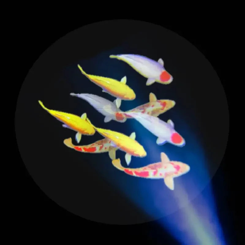 Sensory Vista Pro Projector with Speakers & 8 Image Discs - fish scene projected from the image discs
