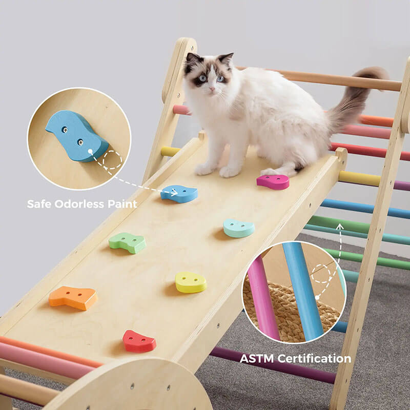 Rainbow climber with multi colors and cat on top