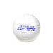 Volleyball for Volleyball Net Accessory for Tramoline